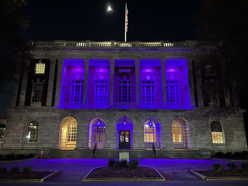 City Buildings Lit Purple in Honor of Veterans Day