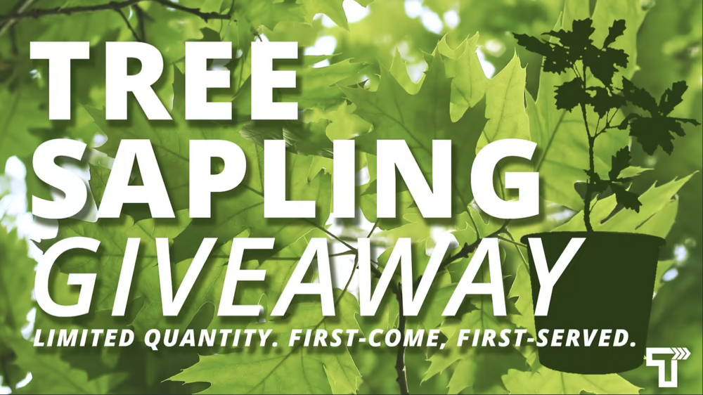 City of Tuscaloosa to Host Tree Sapling Giveaway at Tuscaloosa River Market